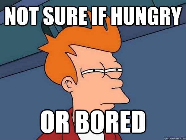 Not sure if hungry or bored  Not sure Fry