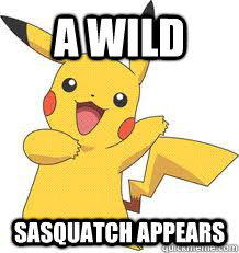 A wild Sasquatch appears - A wild Sasquatch appears  pokemon porn
