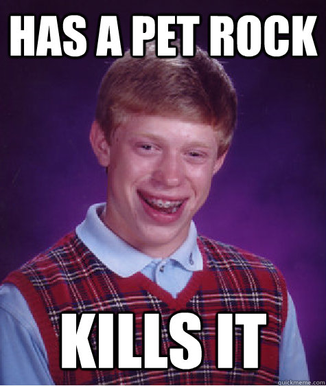 Has a Pet rock kills it  Bad Luck Brian