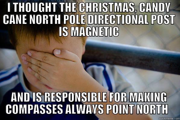 I THOUGHT THE CHRISTMAS, CANDY CANE NORTH POLE DIRECTIONAL POST IS MAGNETIC AND IS RESPONSIBLE FOR MAKING COMPASSES ALWAYS POINT NORTH   Confession kid