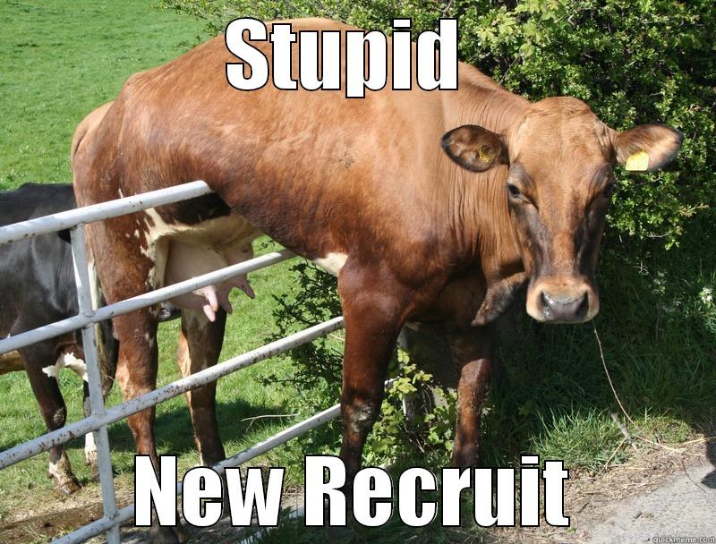 STUPID  NEW RECRUIT Misc