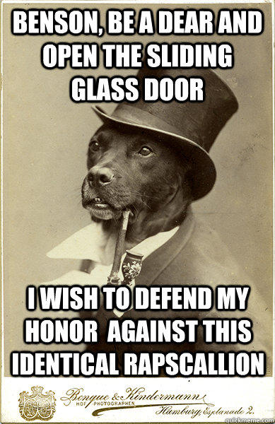 Benson, be a dear and open the sliding glass door I wish to defend my honor  against this identical rapscallion  Old Money Dog