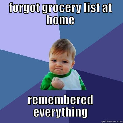 FORGOT GROCERY LIST AT HOME REMEMBERED EVERYTHING Success Kid