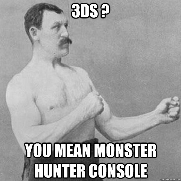 3Ds ?  you mean monster hunter console  overly manly man