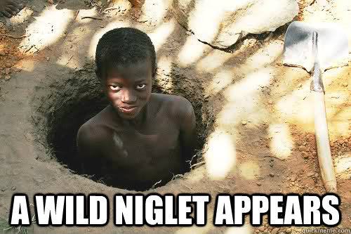 A Wild Niglet Appears  Niglet