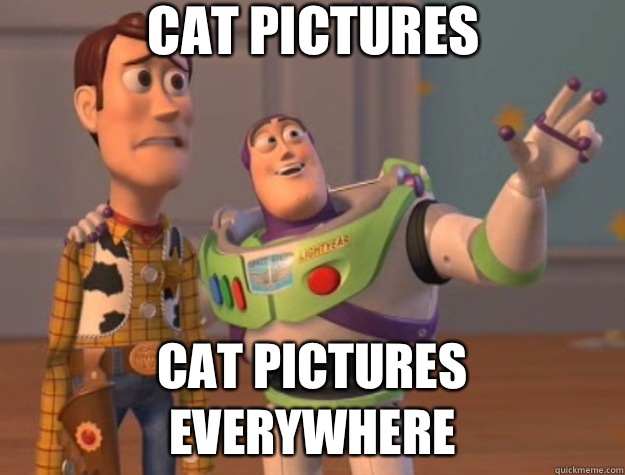 Cat pictures Cat pictures everywhere  Toy Story