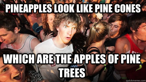 Pineapples look like pine cones which are the apples of pine trees  Sudden Clarity Clarence