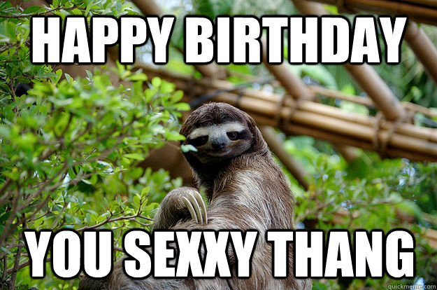 Happy Birthday  You sexxy Thang  Fabulous Sloth