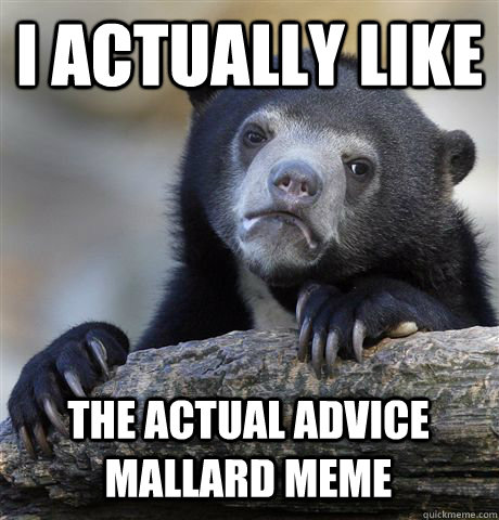 I actually like the Actual Advice Mallard Meme  Confession Bear