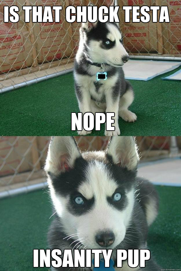 is that chuck testa nope insanity pup  Insanity puppy