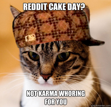 Reddit Cake day? Not karma whoring for you  Scumbag Cat