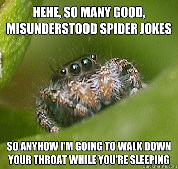 hehe, so many good, misunderstood spider jokes so anyhow i'm going to walk down your throat while you're sleeping - hehe, so many good, misunderstood spider jokes so anyhow i'm going to walk down your throat while you're sleeping  Misunderstood Spider