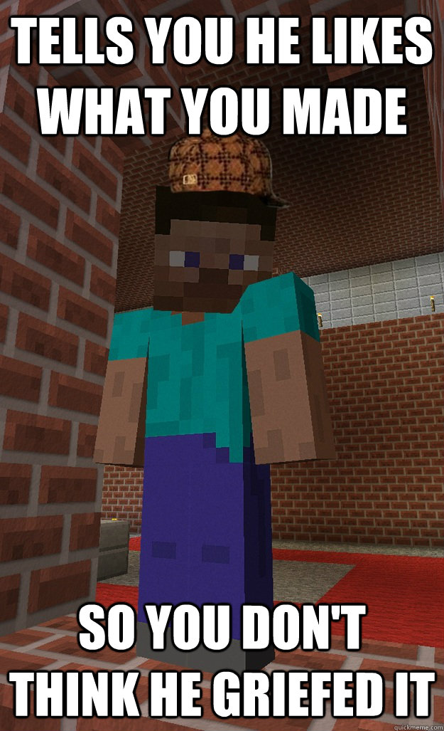 Tells you he likes what you made so you don't think he griefed it  Scumbag Steve Minecraft