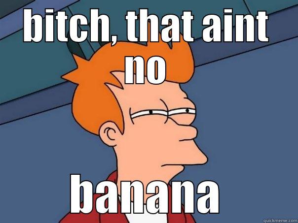 BITCH, THAT AINT NO BANANA Futurama Fry