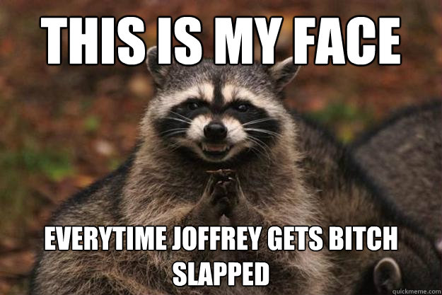 this is my face everytime joffrey gets bitch slapped  Evil Plotting Raccoon