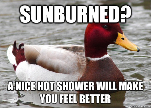 Sunburned? A nice hot shower will make you feel better  Malicious Advice Mallard