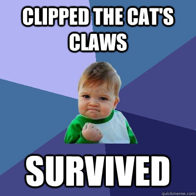 Clipped the cat's claws Survived  Success Kid