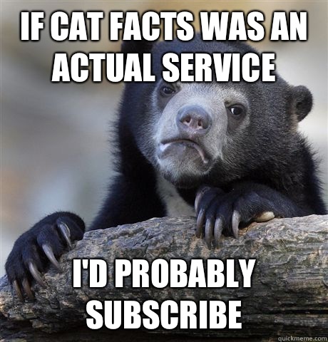 If cat facts was an actual service I'd probably subscribe   Confession Bear