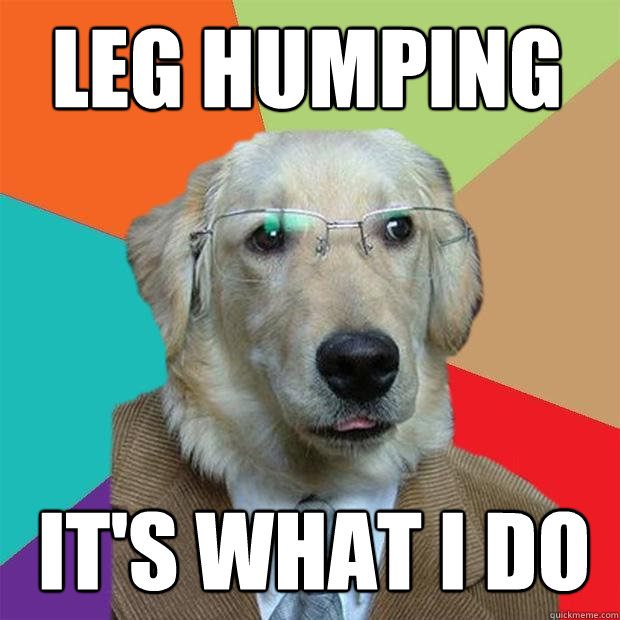 leg humping it's what i do  Business Dog