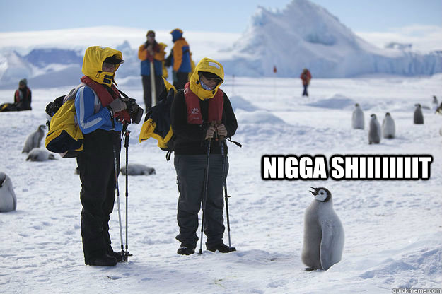 NIGGA SHIIIIIIIIT - NIGGA SHIIIIIIIIT  Talking penguin