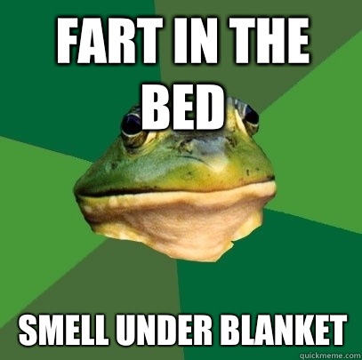 Fart in the bed Smell under blanket  Foul Bachelor Frog