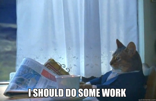 I should do some work  Sophisticated Cat