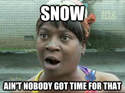 Snow Ain't Nobody Got Time For That  No Time Sweet Brown