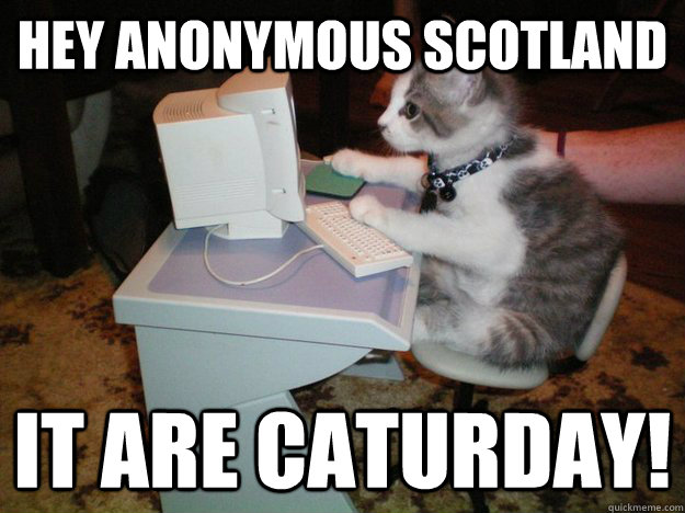 hey anonymous scotland it are caturday!  