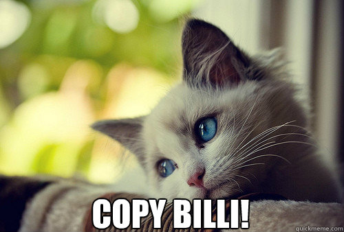  COPY BILLI!  First World Problems Cat