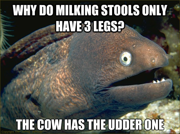 why do milking stools only have 3 legs? the cow has the udder one - why do milking stools only have 3 legs? the cow has the udder one  Bad Joke Eel