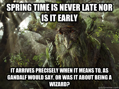 Spring time is never late nor is it early It arrives precisely when it means to, as Gandalf would say. Or was it about being a wizard? - Spring time is never late nor is it early It arrives precisely when it means to, as Gandalf would say. Or was it about being a wizard?  treebeard