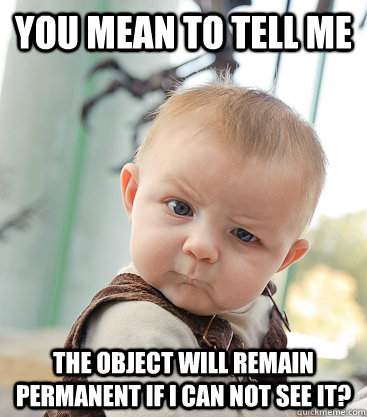 you mean to tell me the object will remain permanent if i can not see it?  skeptical baby