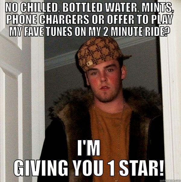NO CHILLED, BOTTLED WATER, MINTS, PHONE CHARGERS OR OFFER TO PLAY MY FAVE TUNES ON MY 2 MINUTE RIDE? I'M GIVING YOU 1 STAR! Scumbag Steve