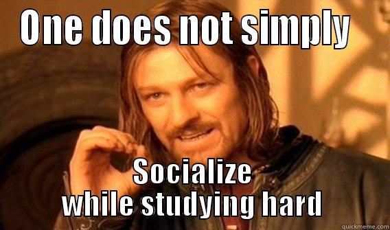 ONE DOES NOT SIMPLY   SOCIALIZE WHILE STUDYING HARD Misc
