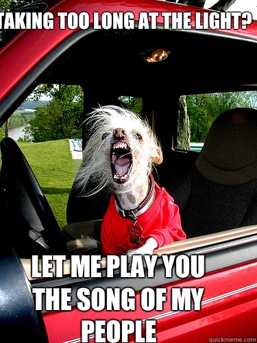 Taking too long at the light? Let me play you the song of my people  angry driver