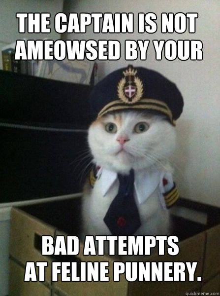 THE CAPTAIN IS NOT AMEOWSED BY YOUR BAD ATTEMPTS AT FELINE PUNNERY.  Captain kitteh