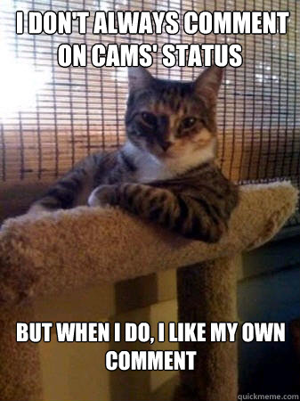  I don't always comment on cams' status but when I do, I like my own comment   The Most Interesting Cat in the World