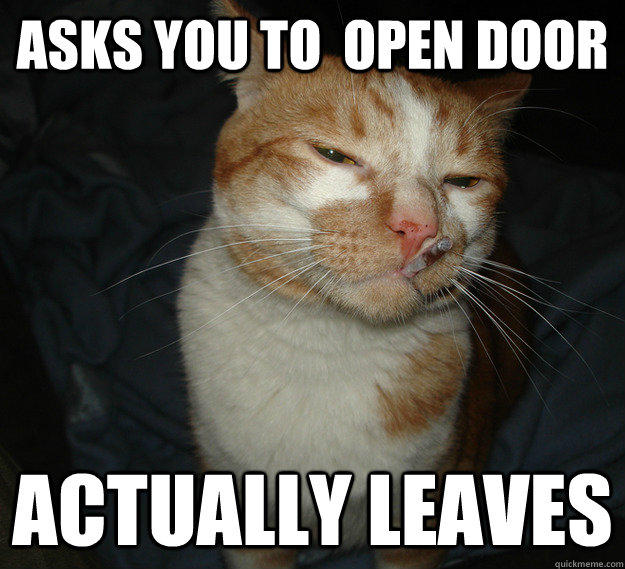 Asks you to  open door Actually leaves  