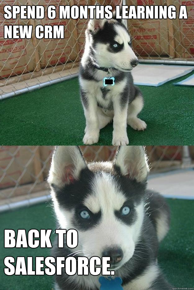 Spend 6 months learning a new CRM Back to SalesForce. - Spend 6 months learning a new CRM Back to SalesForce.  Insanity puppy