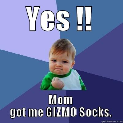YES !! MOM GOT ME GIZMO SOCKS. Success Kid