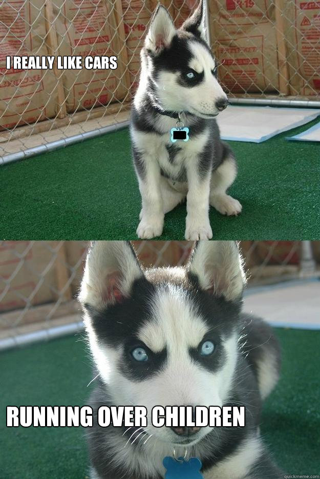 I really like cars running over children  Insanity puppy