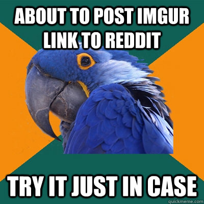 About to post imgur link to reddit try it just in case  Paranoid Parrot