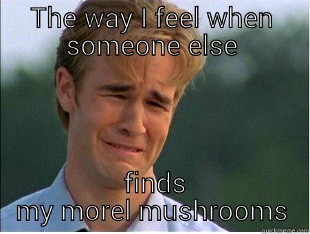 THE WAY I FEEL WHEN SOMEONE ELSE  FINDS MY MOREL MUSHROOMS 1990s Problems