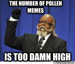The number of pollen memes is too damn high  to damn high