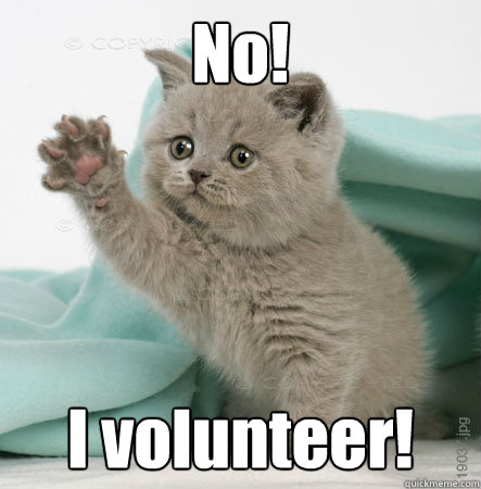 No! I volunteer!  Volunteer Cat