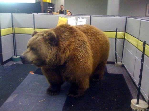    Office Grizzly