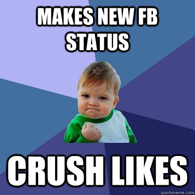 Makes new fb status crush likes  Success Kid