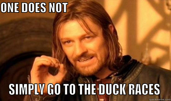 ONE DOES NOT                                                SIMPLY GO TO THE DUCK RACES Boromir
