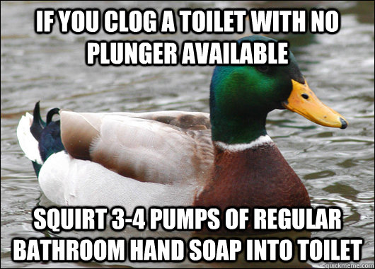 IF you clog a toilet with no plunger available squirt 3-4 pumps of regular bathroom hand soap into toilet  Actual Advice Mallard