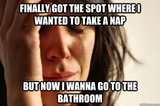 FINALLY GOT THE SPOT WHERE I WANTED TO TAKE A NAP BUT NOW I WANNA GO TO THE BATHROOM  First World Problems